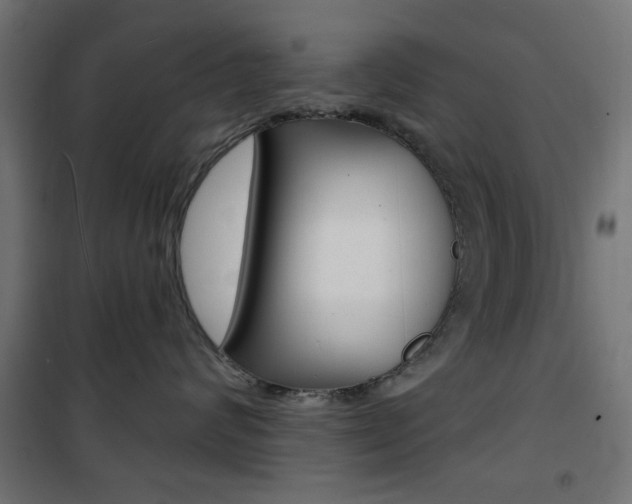 X0000101470624200807071220