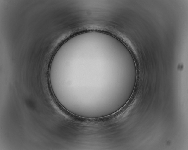 X0000101470625200807071220