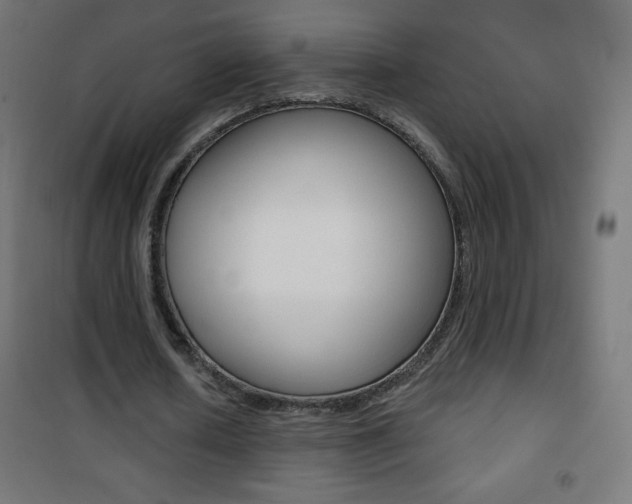 X0000101470626200807071220