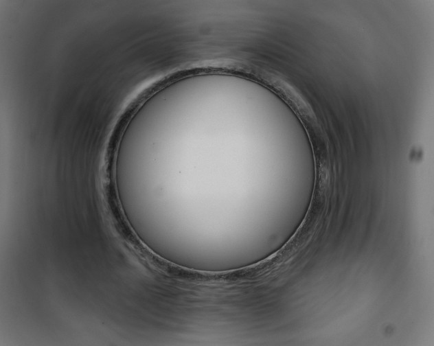 X0000101470628200807071220