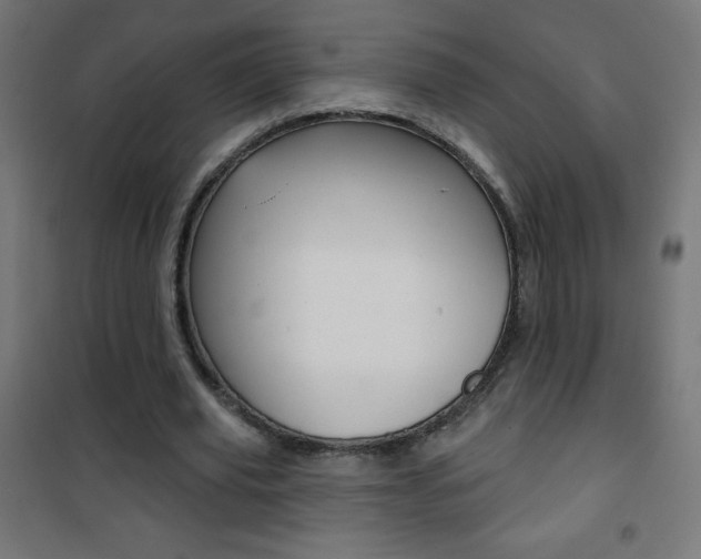 X0000101470629200807071220