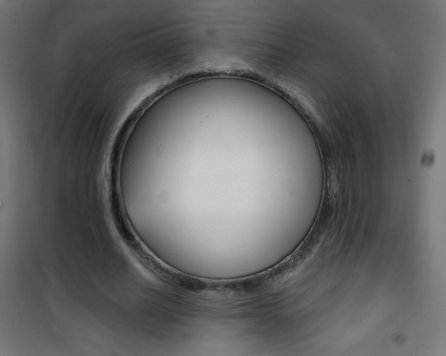X0000101470630200807071220