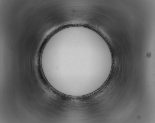 X0000101470632200807071220