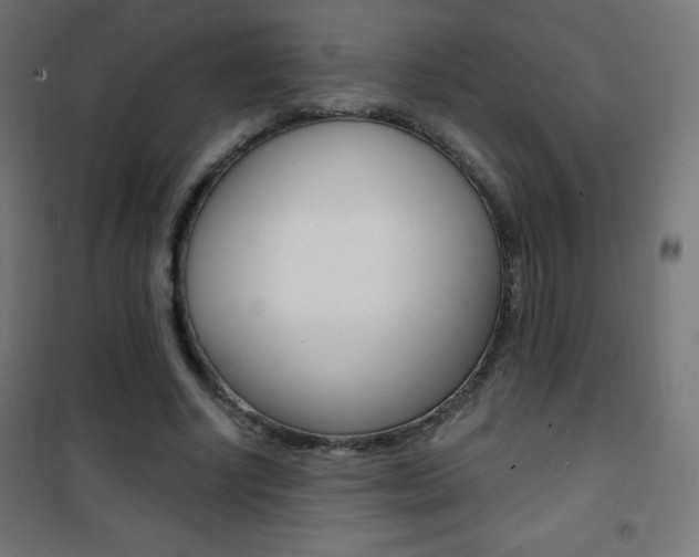 X0000101470634200807071220