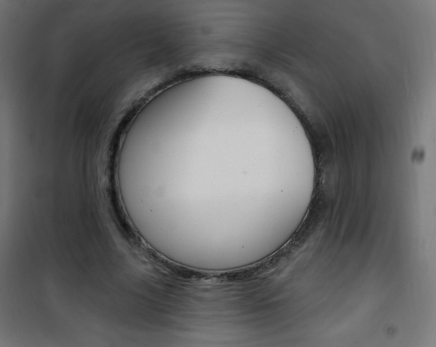 X0000101470635200807071220