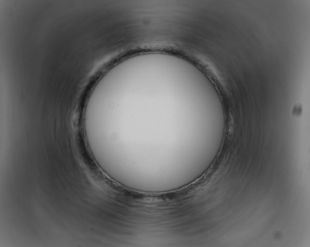 X0000101470636200807071220