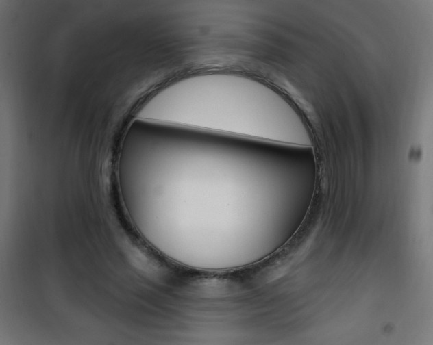 X0000101470637200807071220