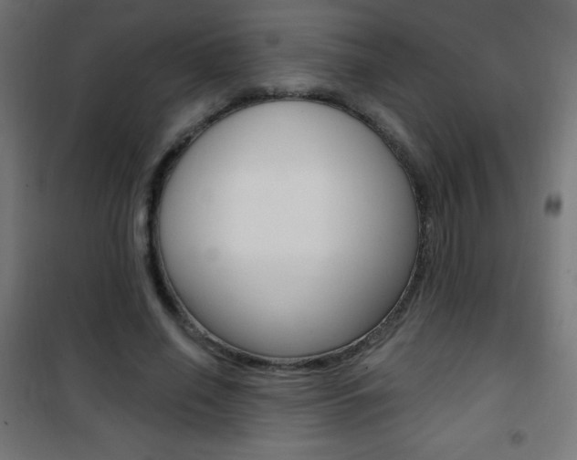 X0000101470638200807071220