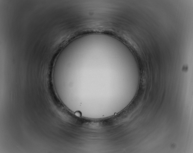 X0000101470639200807071220
