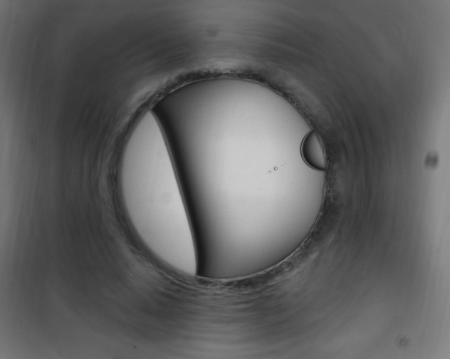 X0000101470640200807071220