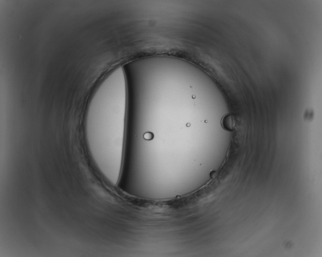 X0000101470642200807071220
