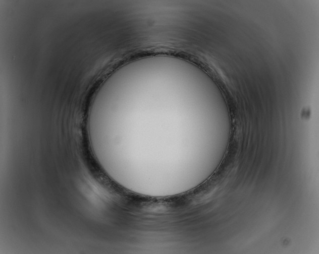 X0000101470643200807071220