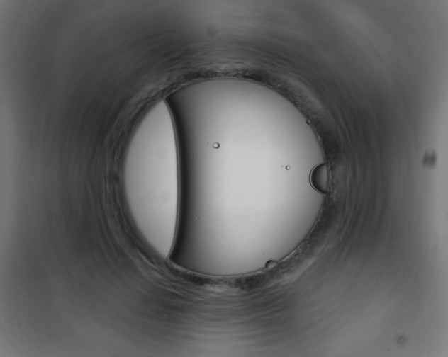 X0000101470644200807071220