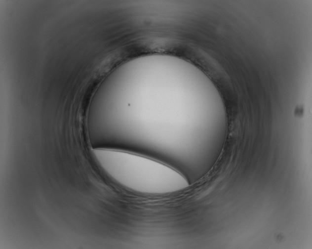 X0000101470646200807071220