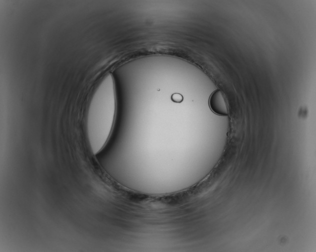 X0000101470648200807071220