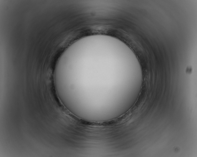 X0000101470649200807071220