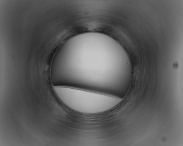 X0000101470650200807071220