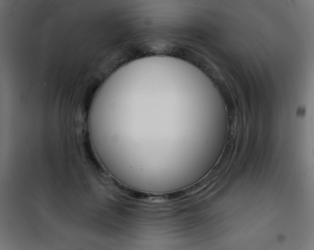X0000101470651200807071220