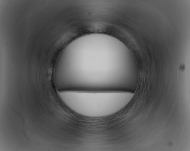 X0000101470652200807071220