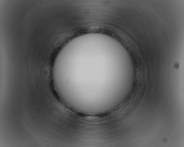 X0000101470654200807071220