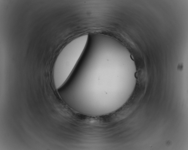 X0000101470655200807071220