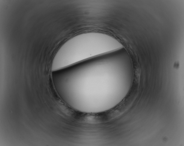 X0000101470657200807071220