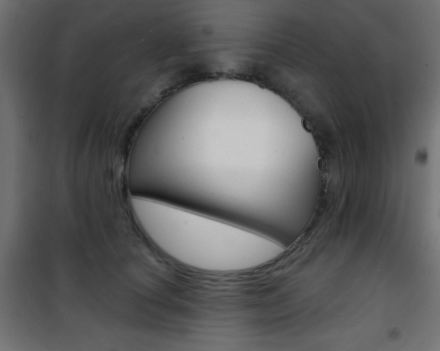 X0000101470660200807071220