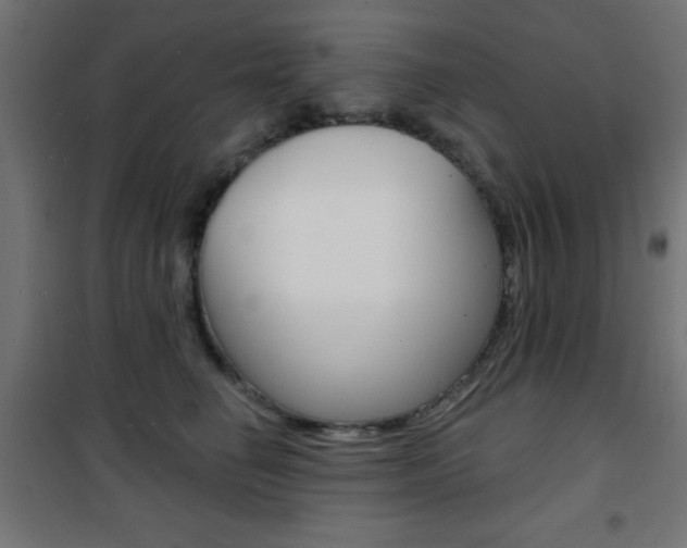 X0000101470662200807071220