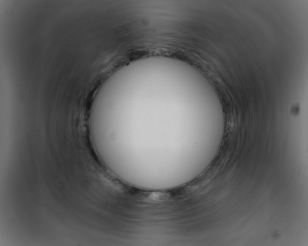 X0000101470663200807071220