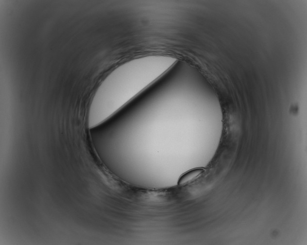 X0000101470664200807071220