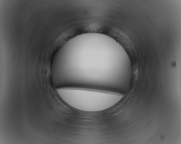 X0000101470665200807071220