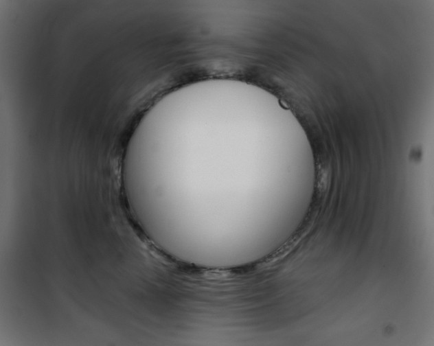 X0000101470666200807071220
