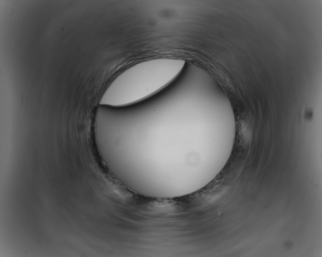 X0000101470668200807071220
