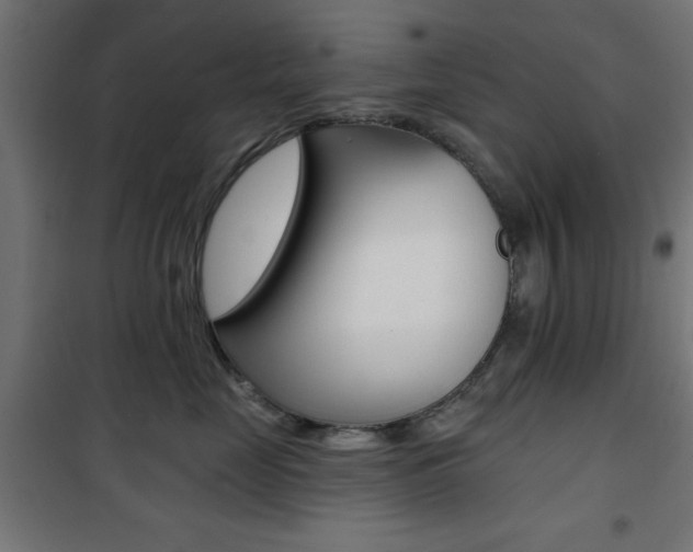 X0000101470669200807071220