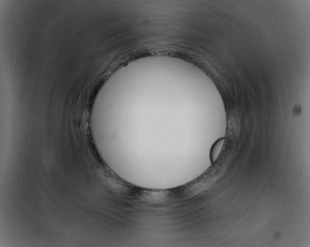 X0000101470671200807071220