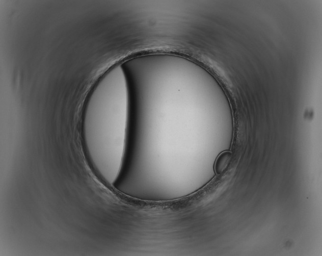 X0000101470673200807071220