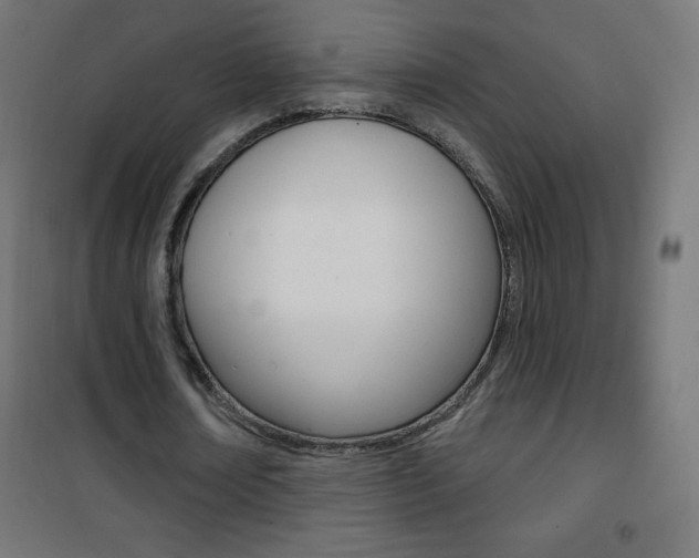 X0000101470674200807071220