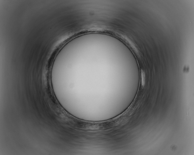 X0000101470675200807071220