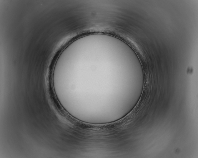 X0000101470678200807071220