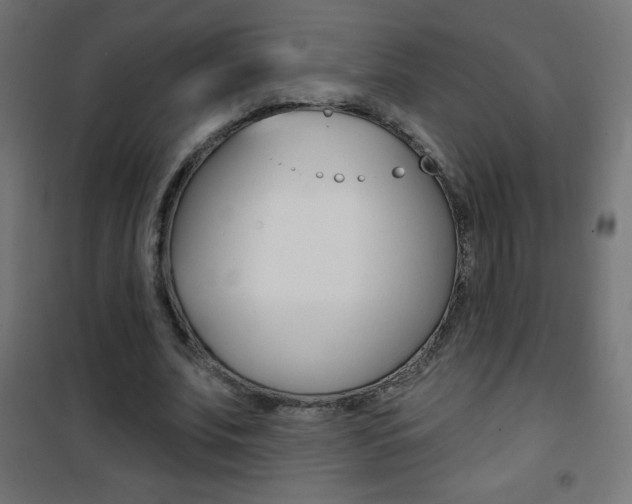 X0000101470679200807071220