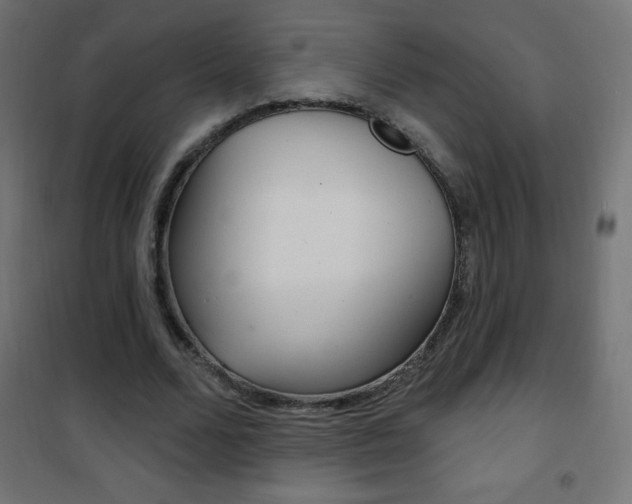 X0000101470680200807071220