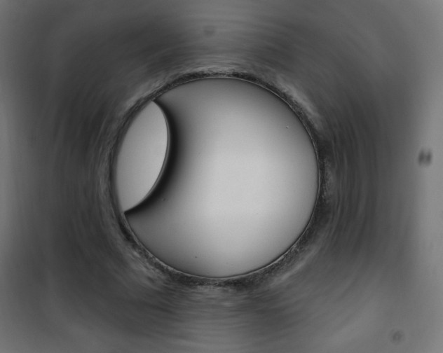 X0000101470681200807071220