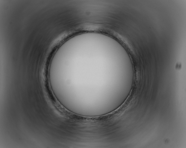 X0000101470682200807071220