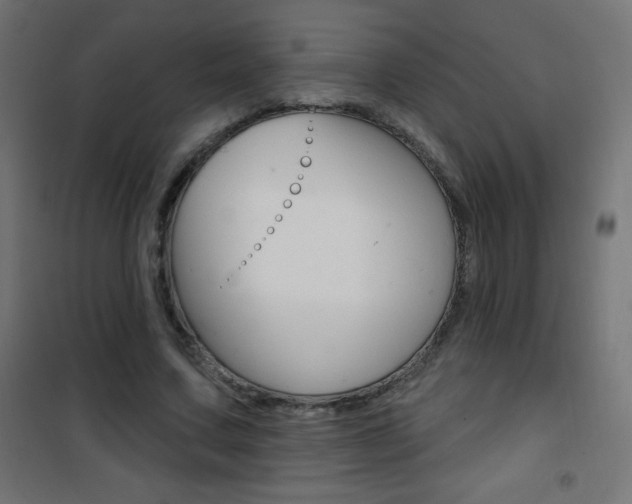 X0000101470683200807071220