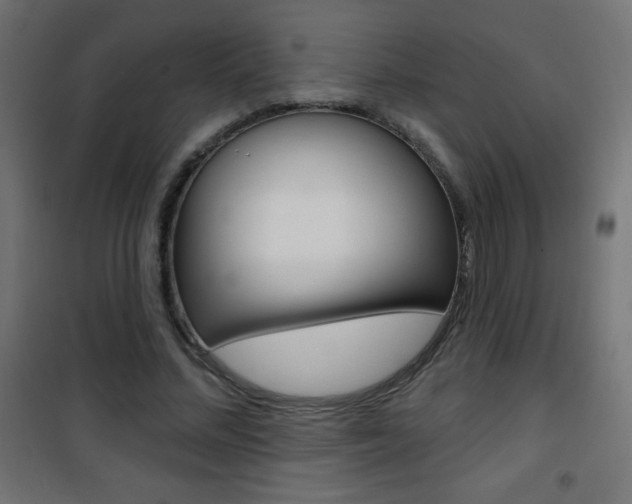X0000101470684200807071220