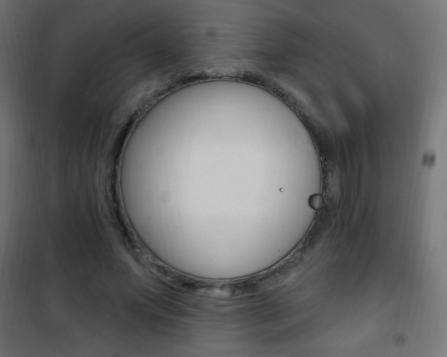 X0000101470687200807071220