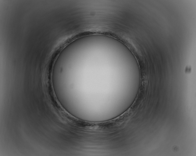 X0000101470688200807071220