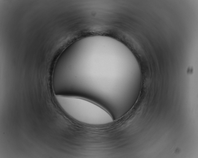 X0000101470689200807071220