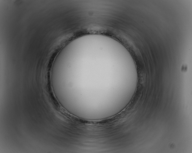 X0000101470690200807071219