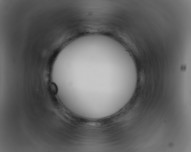 X0000101470691200807071219
